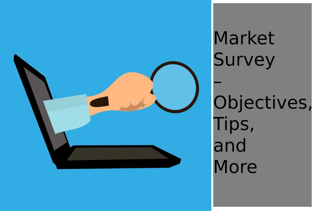 market-survey-objectives-tips-and-more