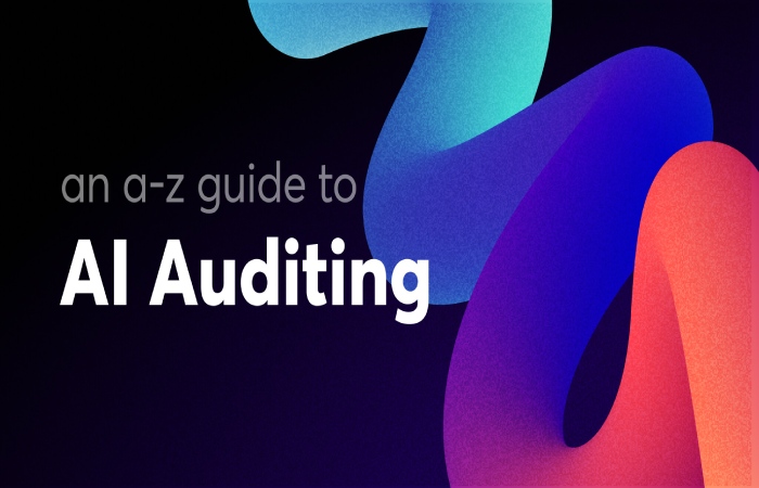 What Is Auditing?